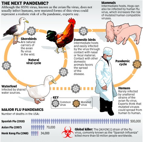 Influenza A H5N1 (bird flue) virus spreading between humans, WHO has declared it as global threat.

1st case found in Kerala. Koi bhi virus sabse pehle kerela me hi kyu milta hai bhai ?