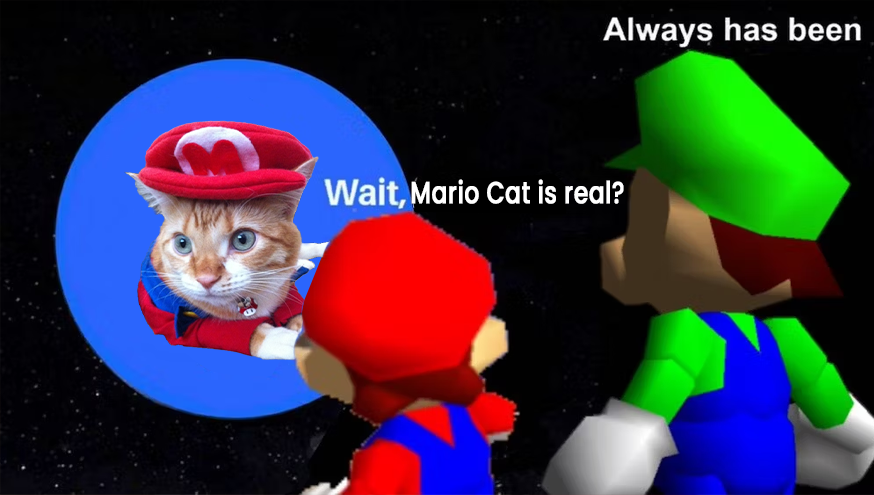 $Mario Cat tweet media