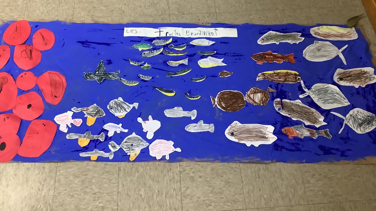 Our trout changed and grew so much since we first got them.  We are very excited to go release them next week.