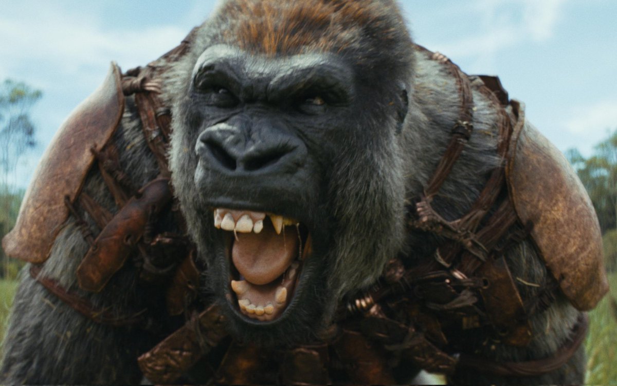 🦍 'Hoo hoo hoo hoo haoh hahh haHH HAOH HAOH HRAAAAAAORH' 🦍 Overjoyed to share I did the gorilla vocals of Silva, one of the main bads in #KingdomOfThePlanetOfTheApes, in theaters now!