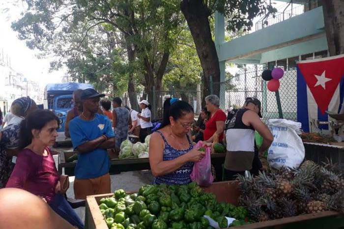 📣| Ferias de productos agropecuarios tendrán lugar el venidero sábado 11 en todos los municipios de la capital, según informó hoy la Dirección de Comunicación del @MinagCuba. Más 👉acn.cu/cuba/anuncian-… #ACN50ConLaNoticia