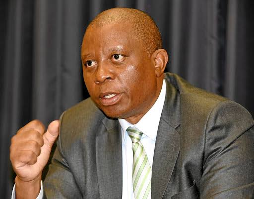 Secure our borders... hundreds of illegal immigrants are crossing the Zimbabwe Limpopo border without proper precedure - Hermam Mashaba