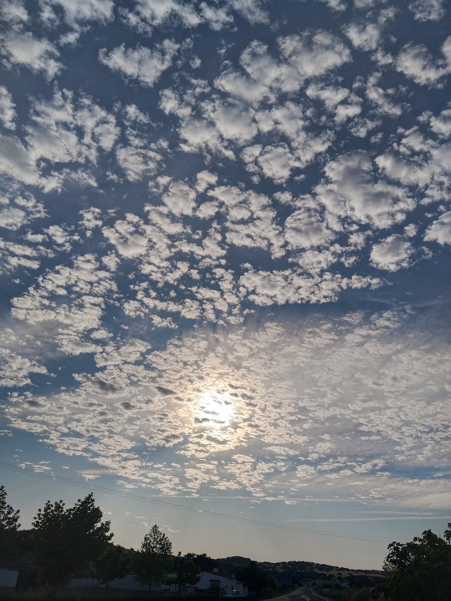 mferrera_3's tweet photo. 😶‍🌫️🌸🩷 https://t.co/k7AZSl7kSZ
