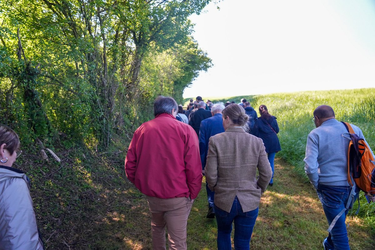 Aujourd’hui dans l’Yonne, à Mezille, aux côtés de @GLarrive, à la fête du jardin et du cheval. Merci pour votre bel accueil ! Nous avons également pu évoquer les problématiques de la ruralité et d’agriculture. Le 9 juin #AvecBellamy pour porter à Bruxelles la voix des oubliés !