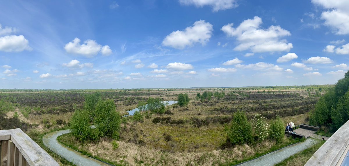 Had a lovely day exploring #whixhallmoss todays office view #wildlife #nature #naturephotography #photography #animals #bird #naturelovers #wild #animal #photooftheday #travel #love #perfection #sony  #captures #natgeo #outdoors #explore #shropshire #bbcmidlands #countryfile