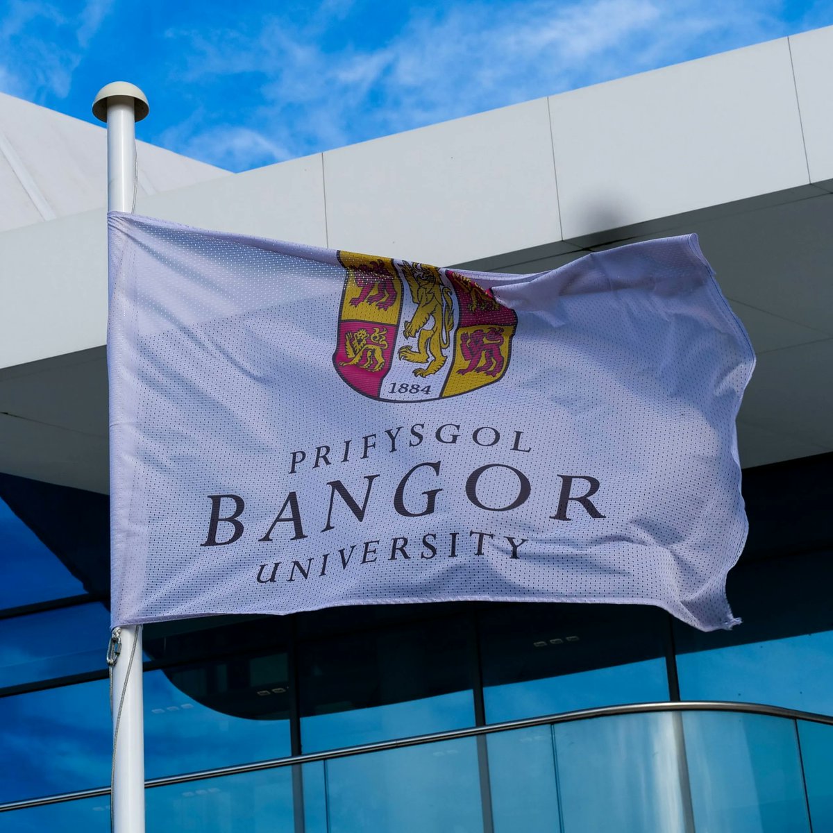 41 Master (MSc) & Research positions at Bangor University (UK): owlindex.com/service-explor… 

 #owlindex #PhD #PhDposition #phdresearch #phdjobs #Research #researchers #University #uk #mscgraduate #masterposition #bangor #bangoruniversity #Bangorjobs @owlindex @bangoruniversity