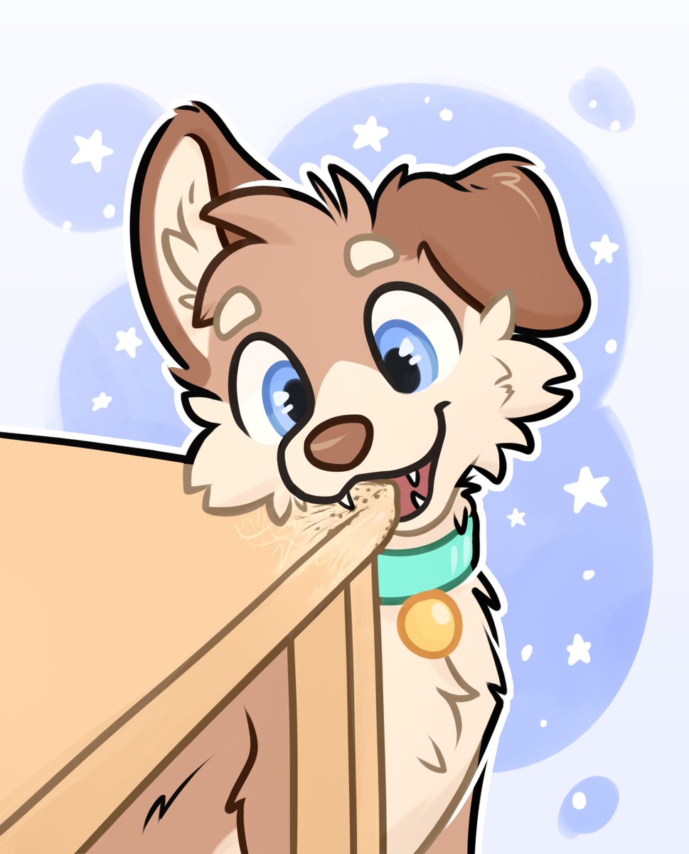 Coille's got a surprise waiting for you when you get back home! :3c