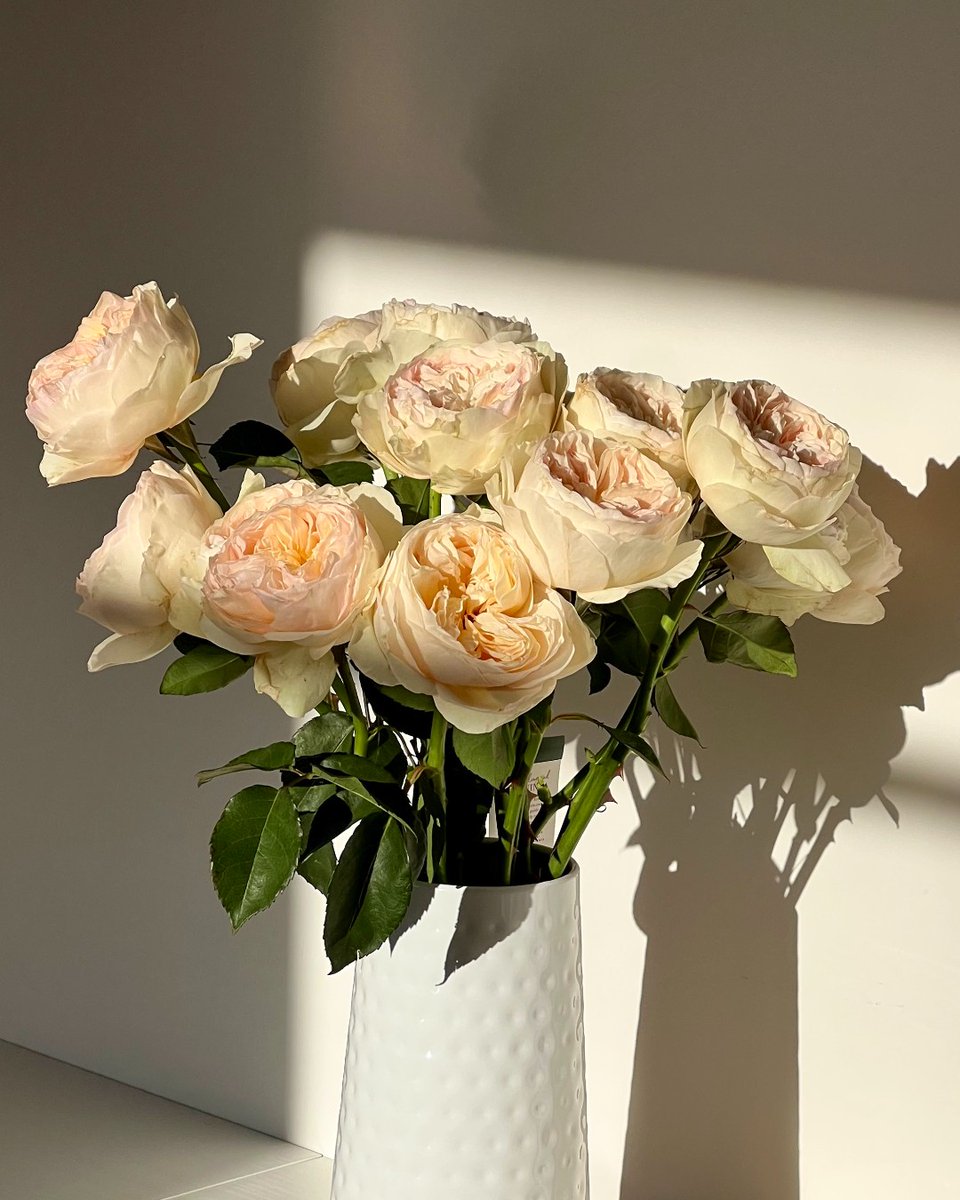 Mother's Day is THIS SUNDAY! We've made it easy to get something Mom will love—shop farm-fresh flowers that say "thank you" for the sleepless nights, endless support, and unconditional love 🤍 bouqs.com/flowers/mother…