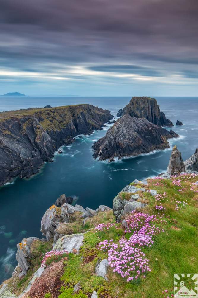 A 2 minute exposure of the cliff scenery at Malin Head, Donegal in the blue hour, with seasonal sea pinks adding some colour to the foreground. Canon 5DMkIV

fabulousviewpoints.com

#WildAtlanticWay
#Ireland
@ThePhotoHour
@StormHour
@wildatlanticway 
@AP_Magazine
@PhotoPlusMag