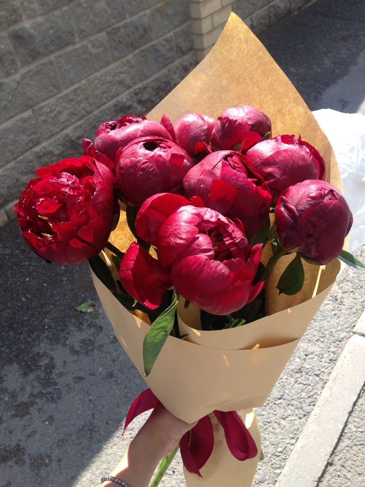 red tulips or red peonies?