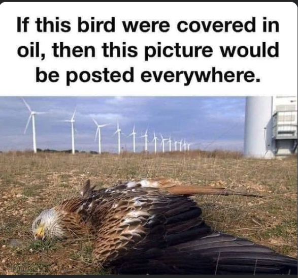 #GreenEnergy #Windmills #ClimateChange #FossilFuels #Oil If this bird were covered in oil, then this picture would be posted everywhere.