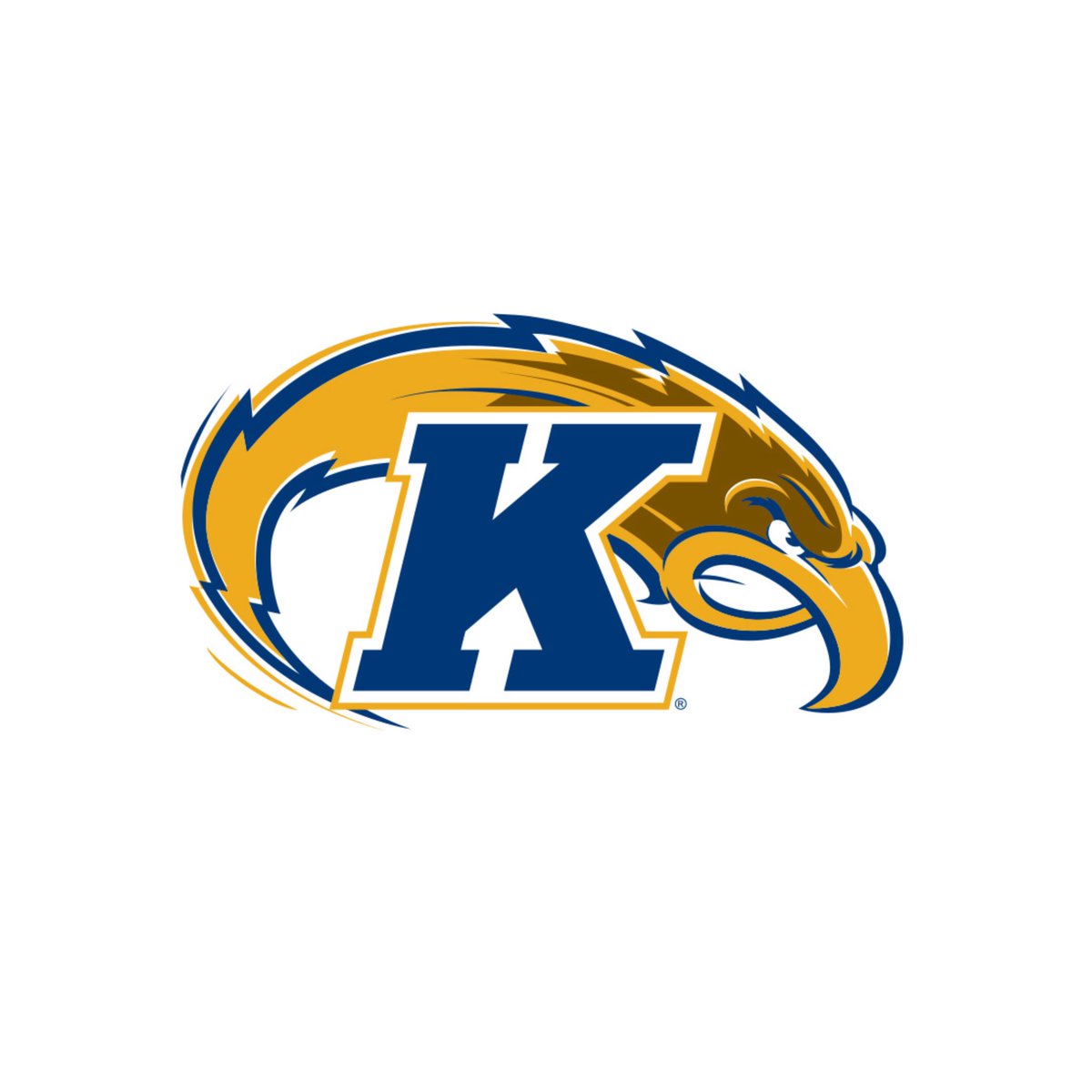 4th_Addition's tweet image. Blessed to receive my first division 1 offer from Kent State University!🔵🟡@CoachMarkWatson @KentStFootball
