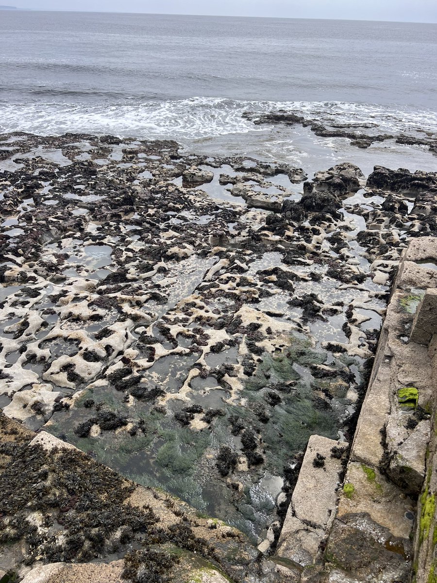 megafloods's tweet image. Enjoying our work out in the Aran Islands #RockCoasts #Geomorphology