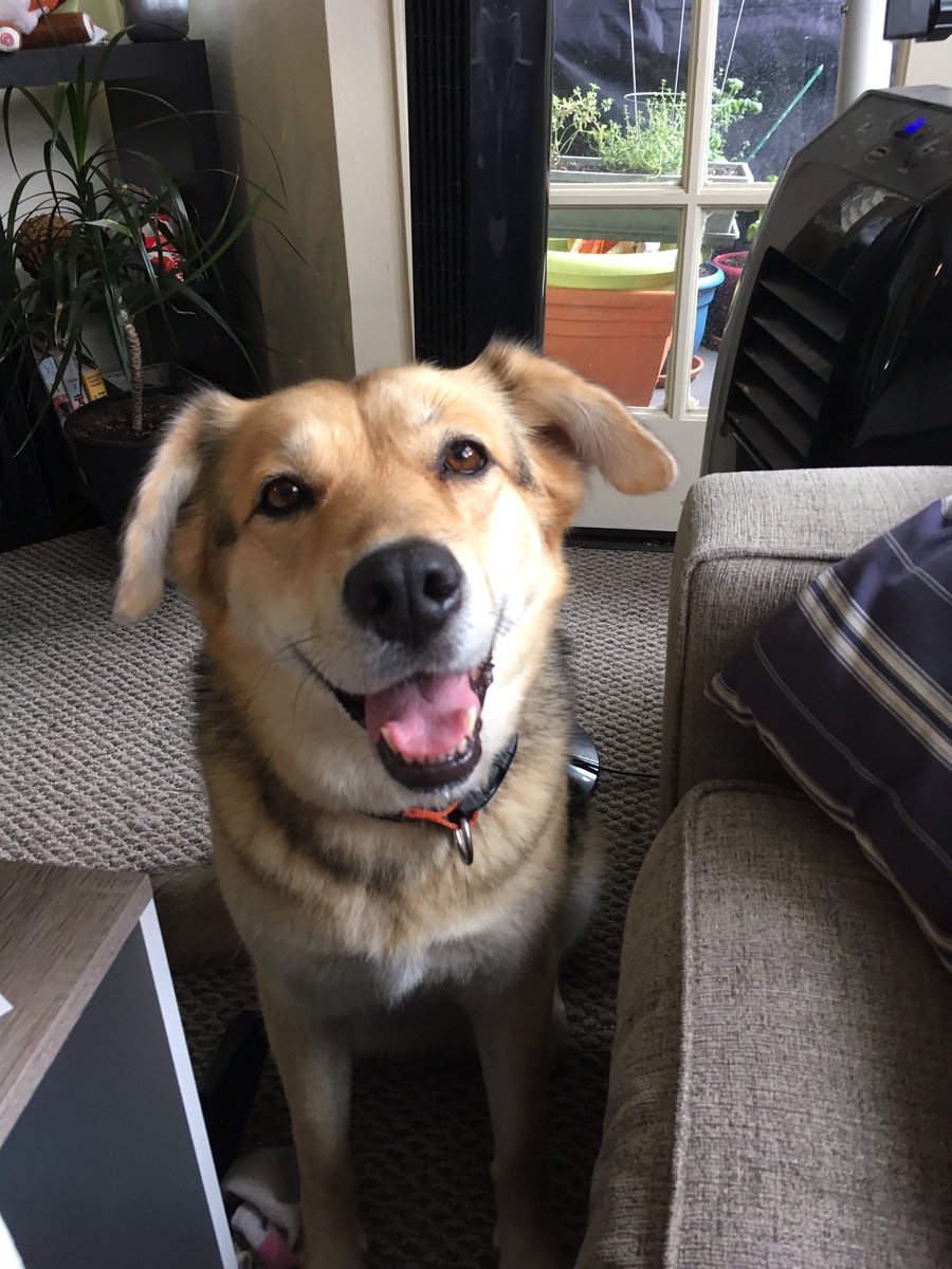 Earlfriend tweet media