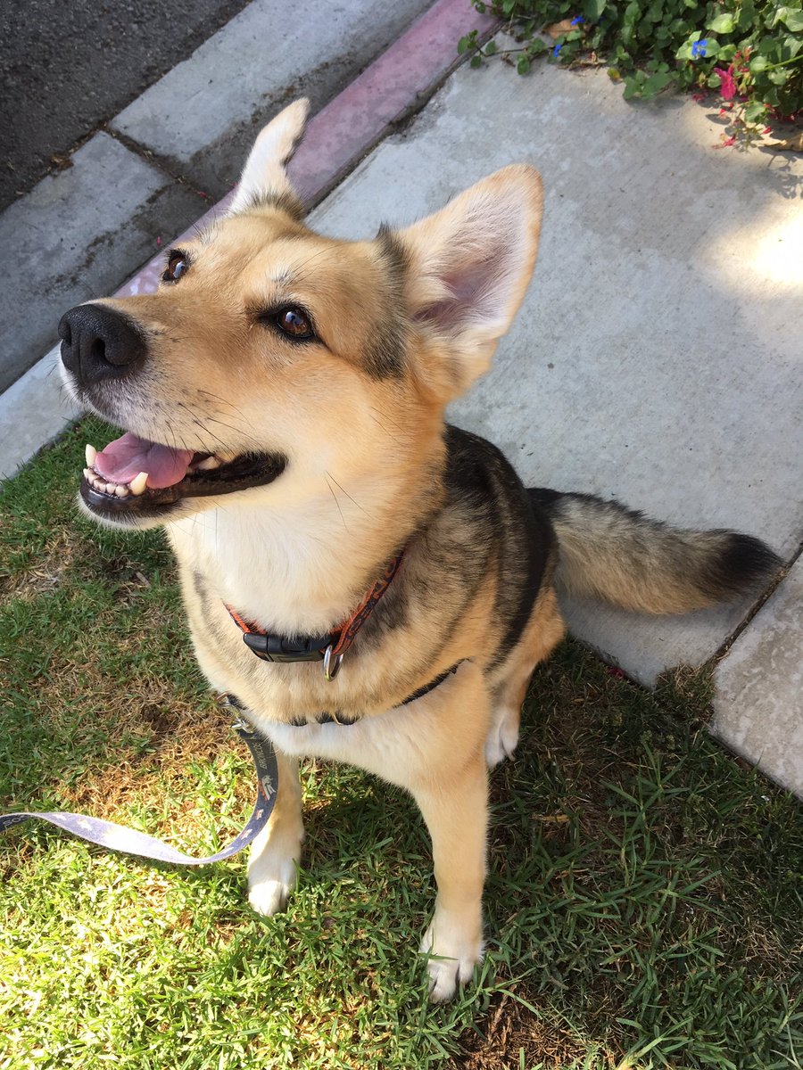 Earlfriend tweet media