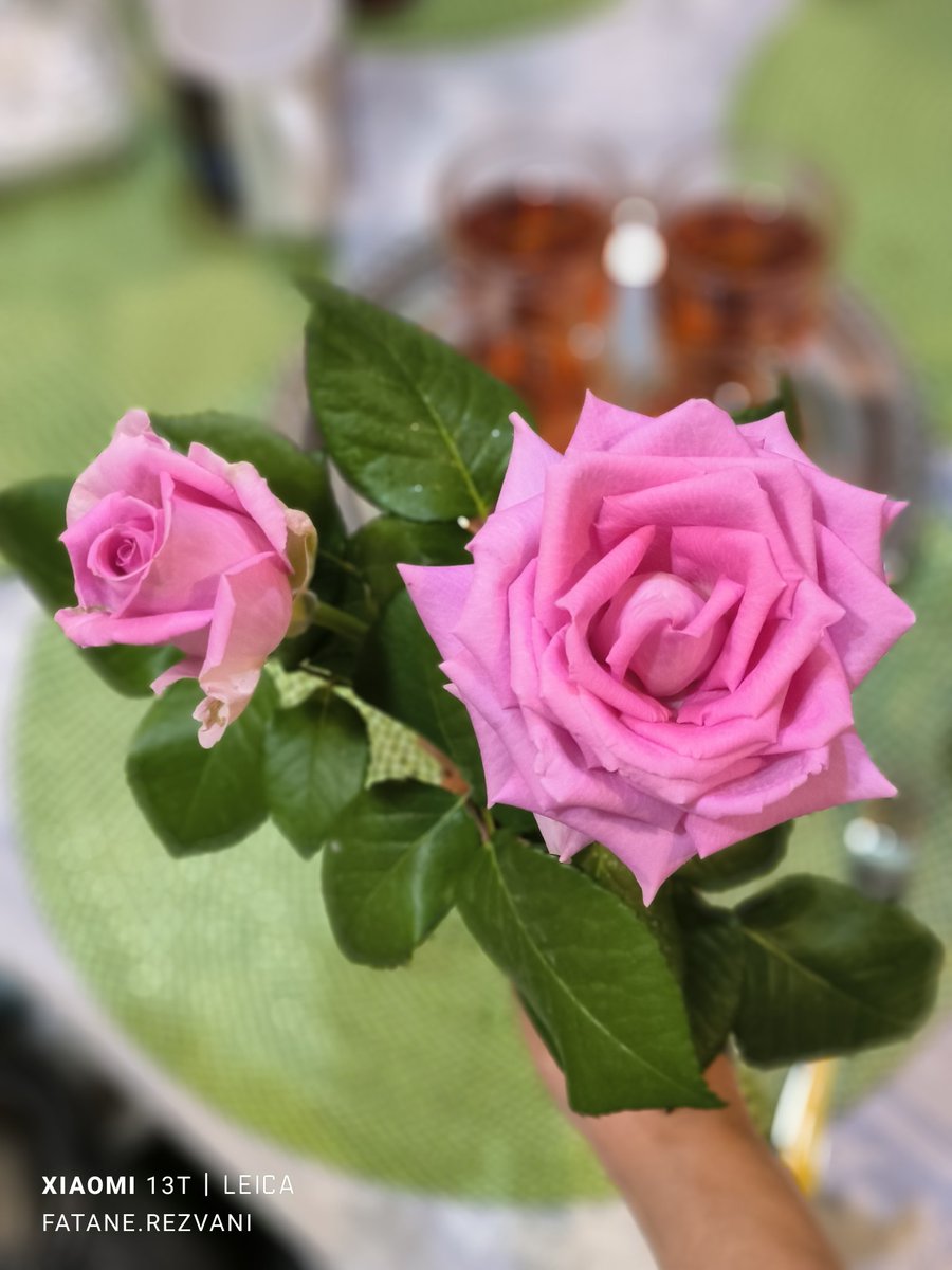 FRezvanirad91's tweet image. #حمایت 
#فالو_فوری 
#wojak 
تقدیم به نگاهتون