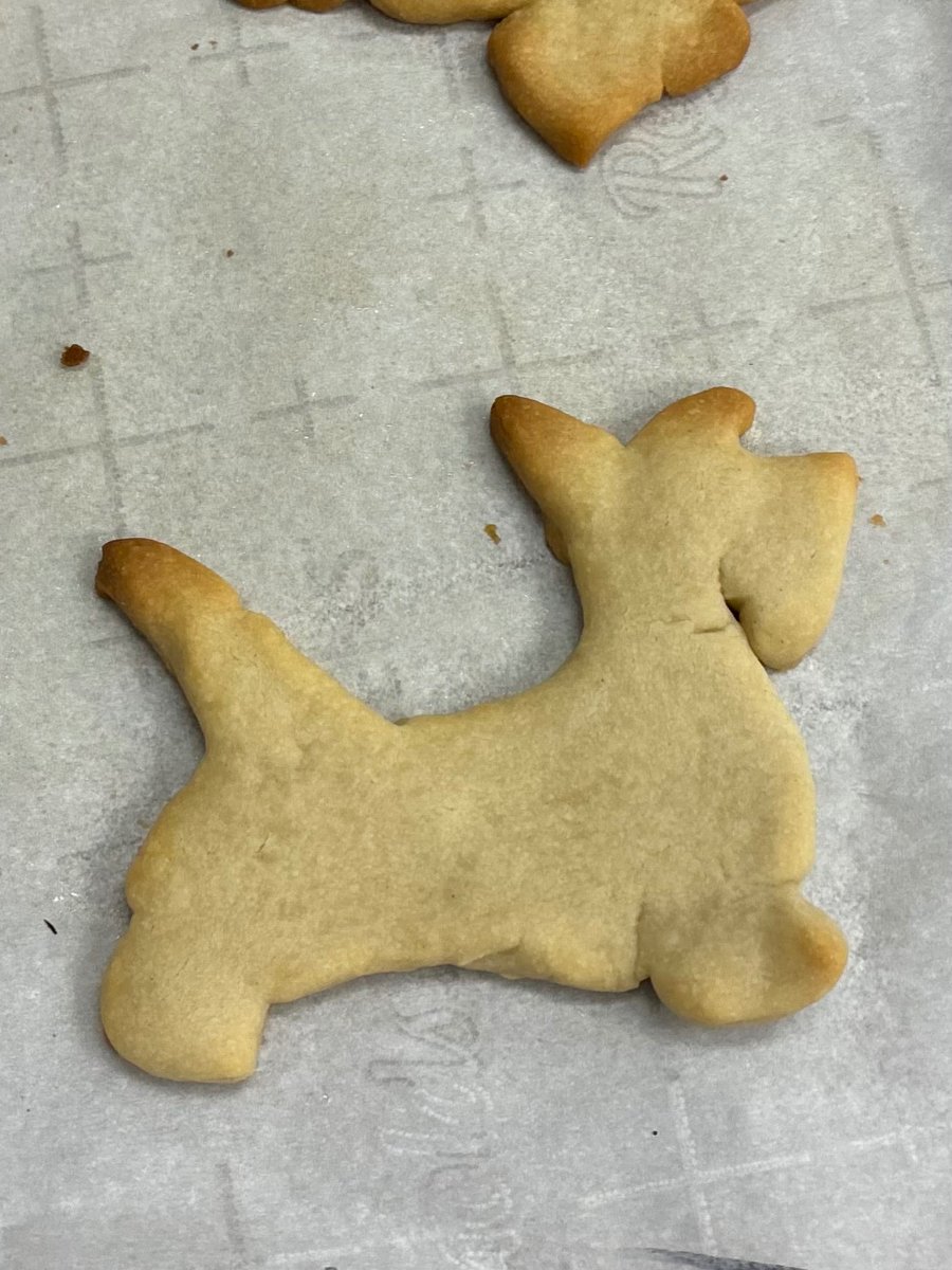 Tim_TPBrown's tweet image. Engineering &amp;amp; Design class 3D printed Scottie cookie cutters for the Culinary Arts class to make cookies!

#tinkercad
#makerbot