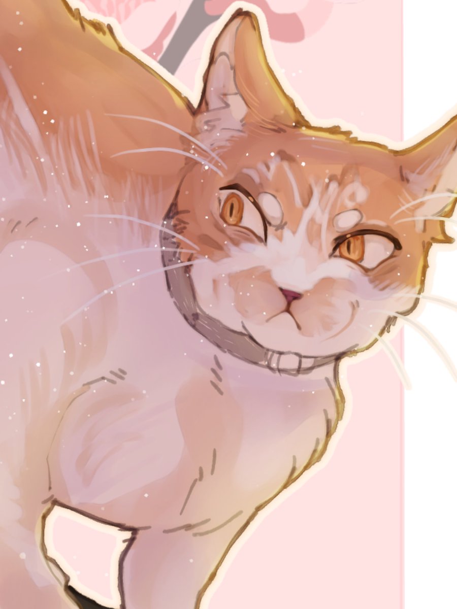 killymene's tweet image. Eles @SaikoMene