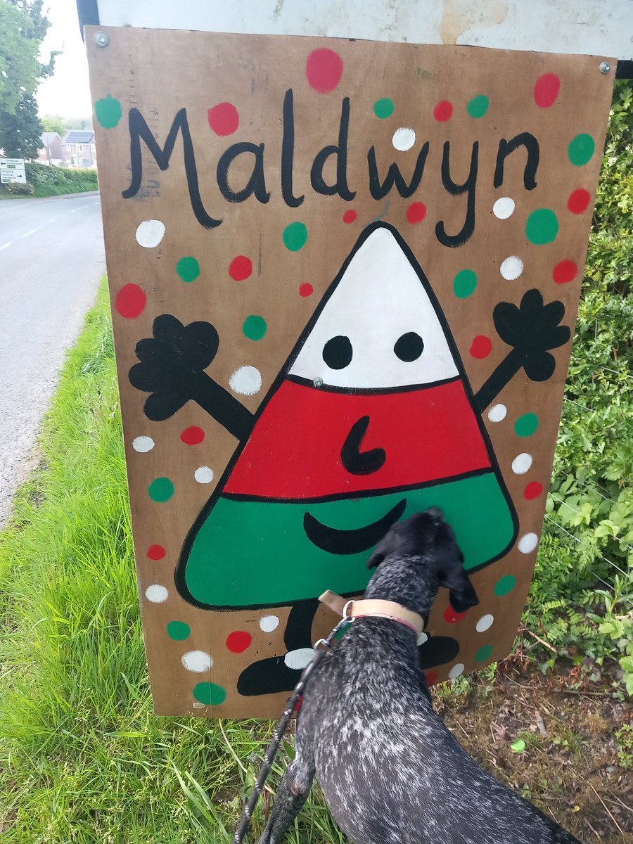 Pwy di'r Mistar Urdd ma ???