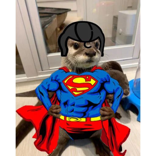 <a href="/mrpunkdoteth/">MrPunk.eth</a> Wait till you meet <a href="/OTTIR_CTO/">OTTIR</a> 

$OTTIR isn’t here for games. He’s here to save every otter in the land. Already adopted one as a community. Much more to come.