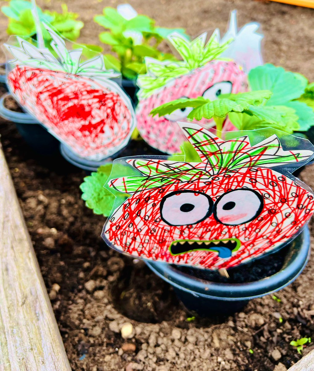 Our BGE classes enjoyed planting fruit🍓🫐and vegetables🥔🧅🧄🥬🥕as part of our @EcoSchoolsScot #OnePlanetPicnic @Kilpatrickscho1