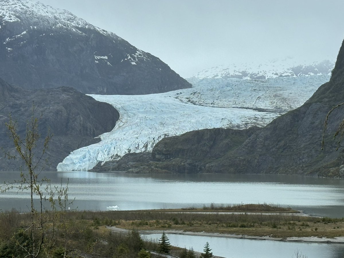 Mendenhall Glacier, 1984 | 2024 (1984 📸: @realglacier, @UMaine alum) -building on post by @subfossilguy… #UMaine #Sea2Sky2024