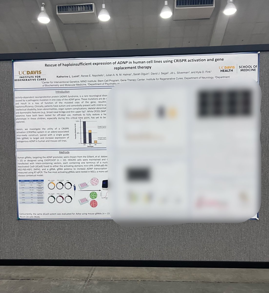 📣#FinkLab and #HalmaiLab Thursday Posters📣 stop by poster numbers 1170, 1171, 1172 and 1177 to learn about #CRISPRa #EpigeneticEditing and #MolecularTherapies! @ASGCTherapy #ASGCT2024 #NeurologicDisorders @julianhalmai @paulalerc @CasianaGonzalez #CASK #FOXG1 #SYNGAP1 #ADNP