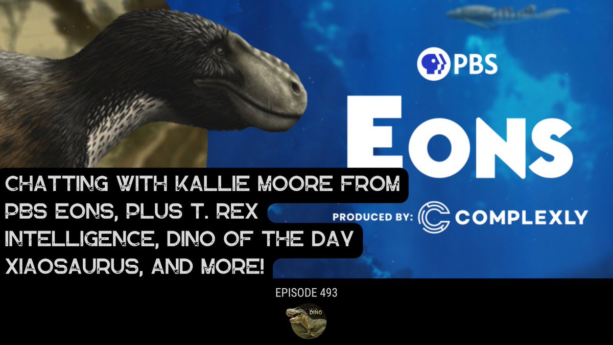 In our latest #podcast, we got to chat with @FossilLibrarian, host of @EonsShow! We talk about scicomm, what it’s like to work on such a cool science show & more. We also cover the latest on #Trex intelligence, dino of the day Xiaosaurus & more! Listen: apple.co/3wvqGlG