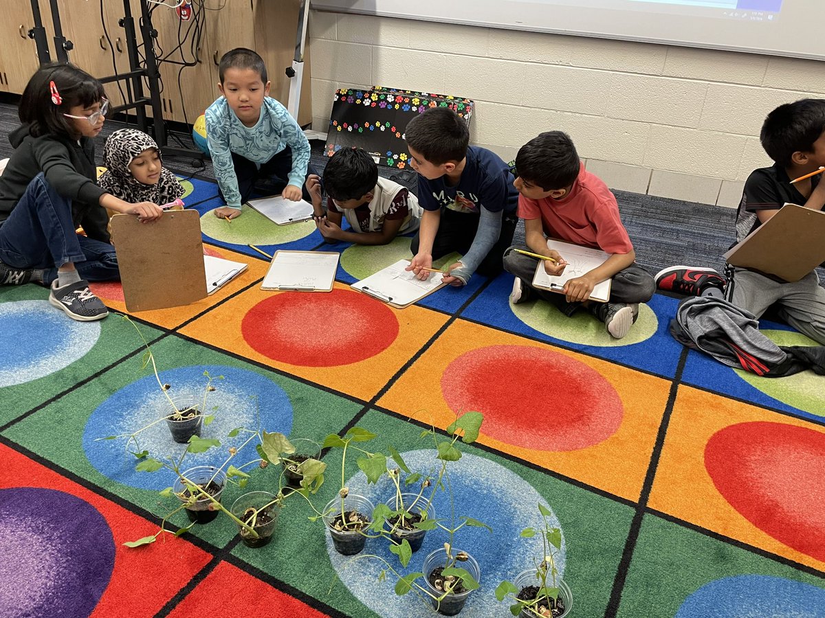 Mrs. Zeitlin tweet media