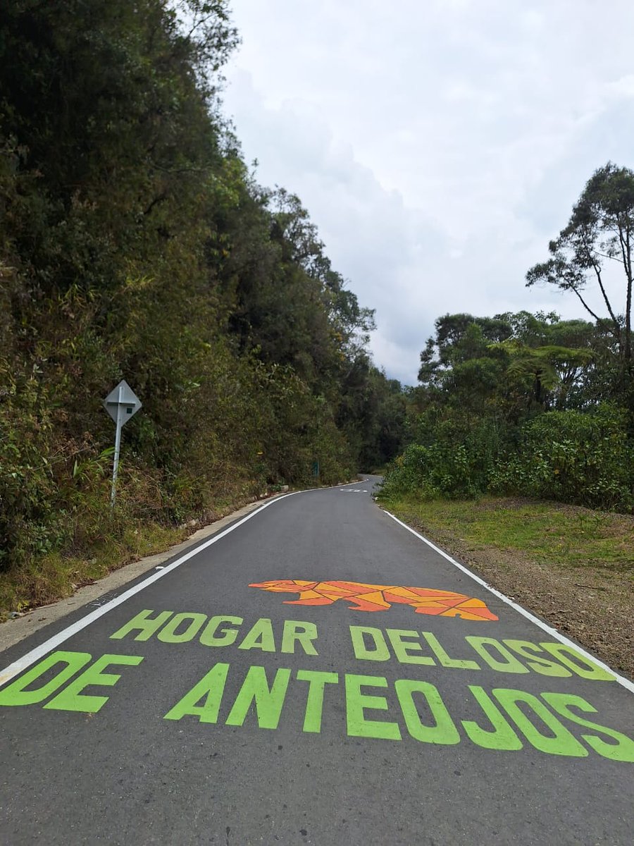 soydeituango's tweet photo. En la recién pavimentanda carretera al municipio de Peque occidente de #Antioquia Pintura https://t.co/e8i0yrwbc2