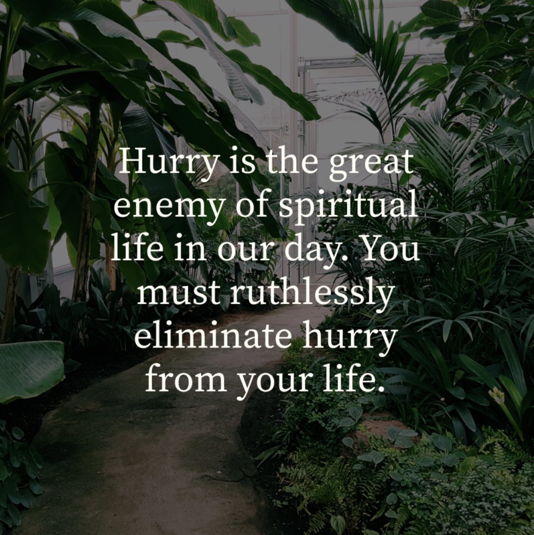 The journey toward stillness is not always easy. It requires discipline, intentionality, and a willingness to relinquish control. Yet, in the midst of the chaos and uncertainty, it is the anchor that holds us steady. #faith #truth #God #HolySpirit #faithoverfear #christian #hope