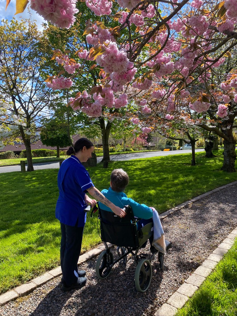 Here at Foyle Hospice, we are blessed to have such beautiful gardens for our patients, their families, and staff to enjoy.🌻 When we see the stunning cherry blossoms in full bloom, with the sun peeping through the trees, it is hard not to get lost in the silence 💙 #thankful