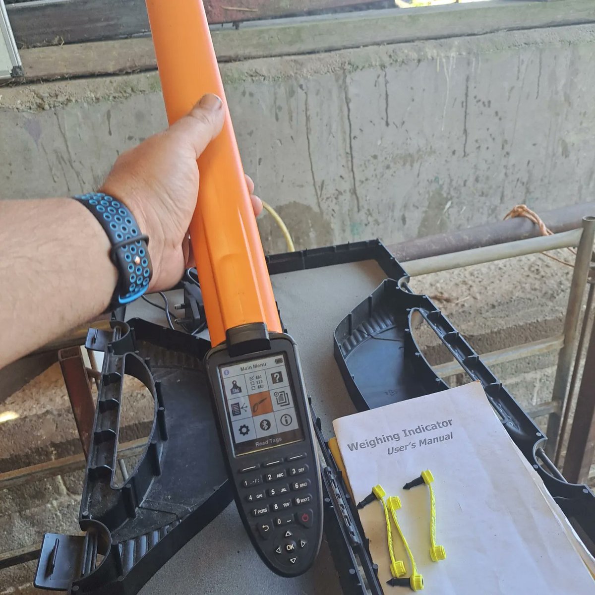 AdvisoryBlyth's tweet image. I&apos;m excited to be back in sunny Wales, doing some more EID clinics for Farming Connect Genetic Farms. These farms have asked for help to improve data capture around 8 weeks post lambing, recording body condition scores and weight to the individual animal. #Gallagher #Datacapture