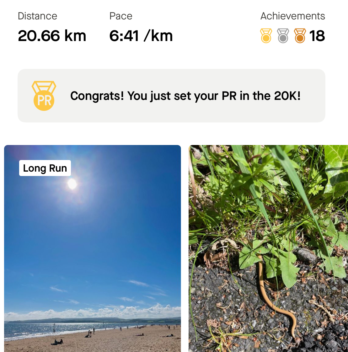 A slow worm, more km, and 58 quid to go... I just posted an update to my <a href="/JustGiving/">JustGiving</a> page!

23 days until I run <a href="/GreatWestRun/">Great West Run</a> for <a href="/forcecancer/">FORCE Cancer Charity</a> in Exeter: justgiving.com/page/bex-great…