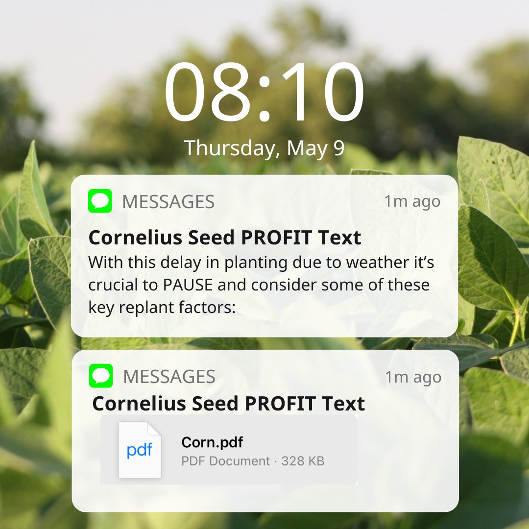 Stay in the know with PROFIT Texts. 
corneliusseed.com/signup-profit/

#PlantItProfit #StayInformed