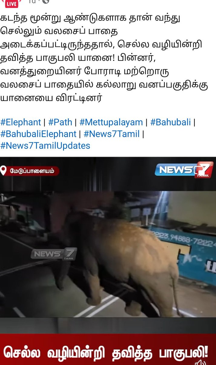 KovaiRaj4's tweet photo. மேற்கு தொடர்ச்சிலை அடிவாரம் முழுதும் கனிமவளக் கொள்ளையர்களால் அடைபட்டுக்கிடக்கும் யானை வழித்தடங்கள் திரும்பிப்போக வழிதெரியாமல் நகருக்குள் தவிக்கும் யானைகள் இதனால் ஏற்படும் யானை- மனித மோதல்
தீர்வு?
#Pmk
#kovairaj
#elephantpath
#Coimbatore
#collectorcbe
#draramadass https://t.co/CYy9xPVpeg