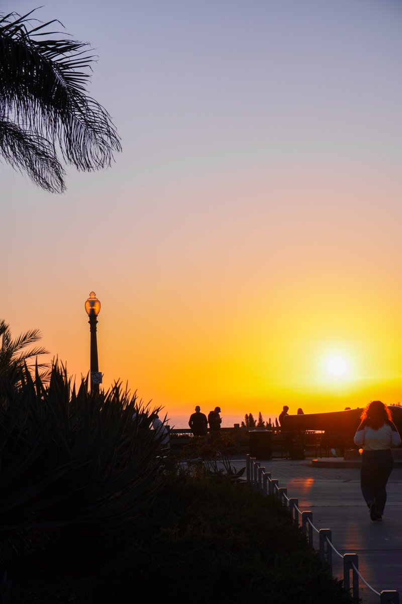 Springtime sunsets at the @SantaMonicaPier.🫶 #santamonica #sunset #beach #aesthetic