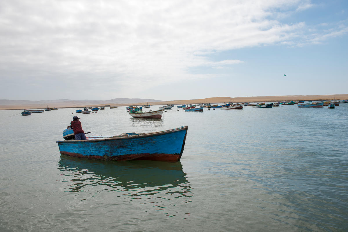 💡 How can a virtual #chatbot help reduce risks of #corruption in the #fishing sector? This blog shares learning from WWF Peru's experience in creating and developing "Justina del Mar" a virtual chatbot used by artisanal fishers: worldwildlife.org/pages/tnrc-blo…