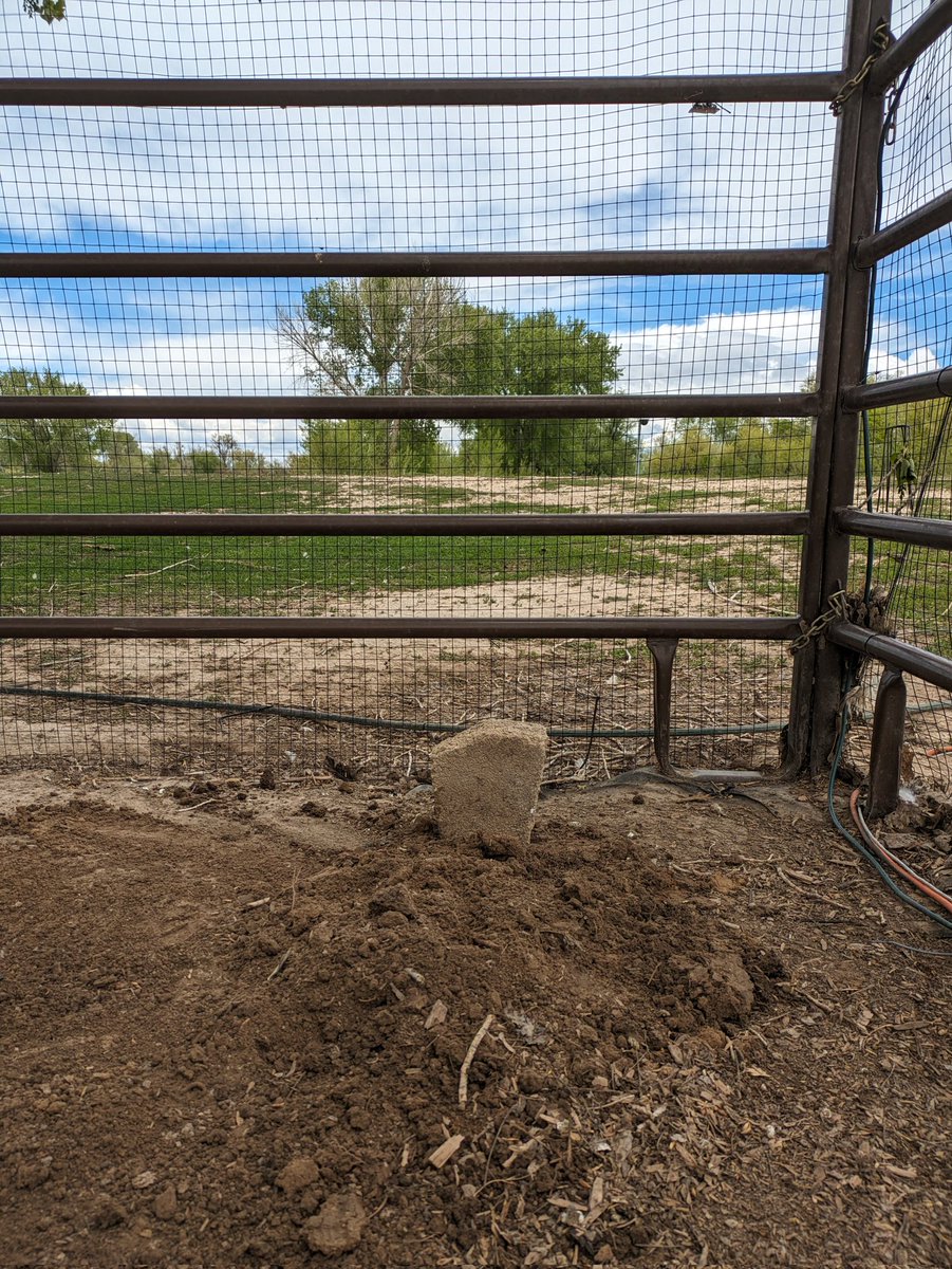 FarmerSpence tweet media