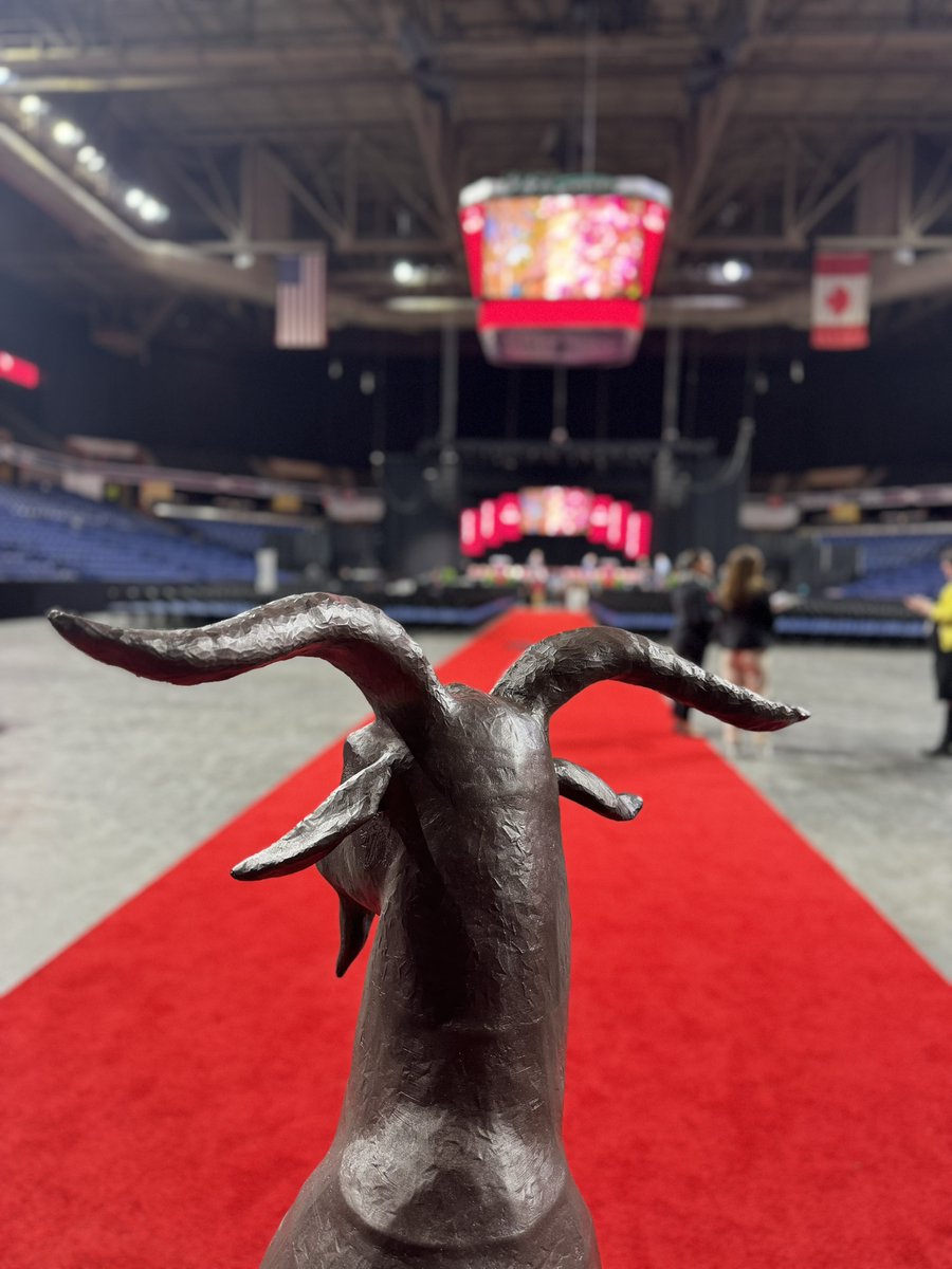 He’s arrived. @gompei wouldn’t miss this for the world #WPI2024 Graduate student ceremonies to be underway soon… 🐐🎓