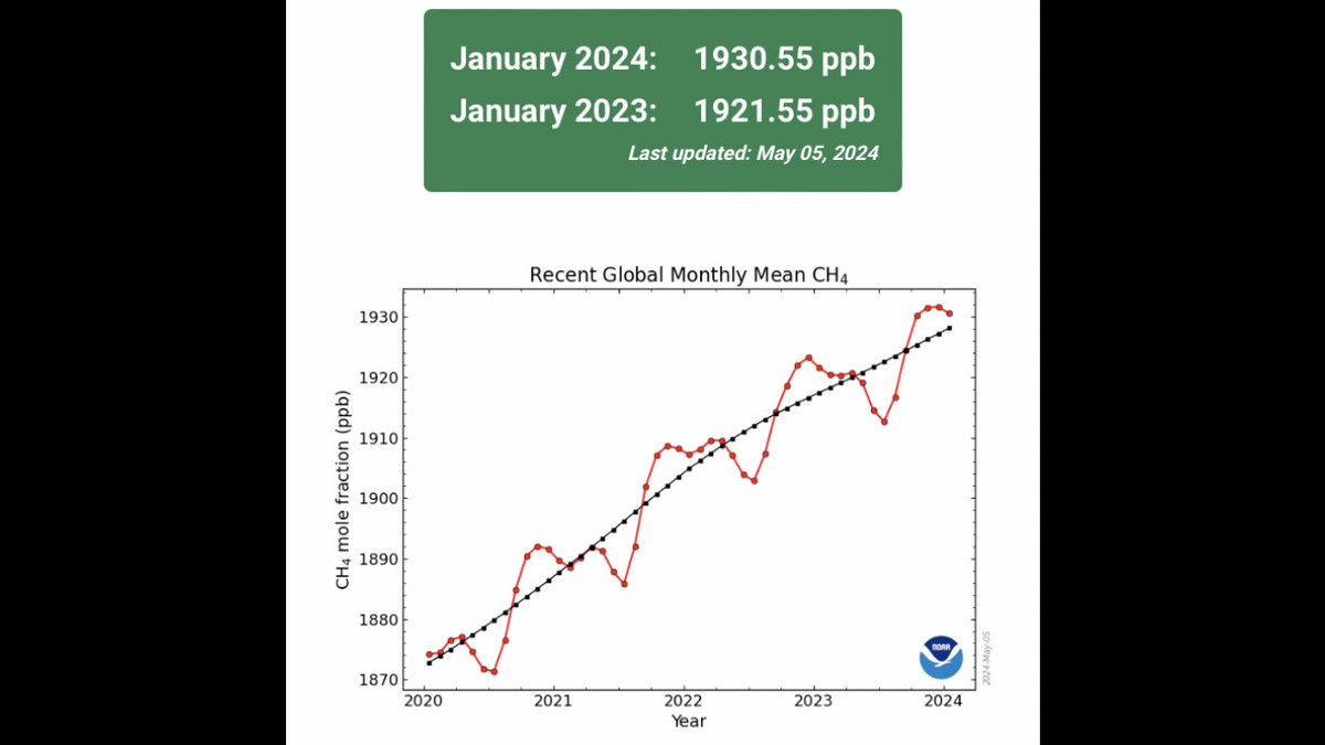 #stayinformedcc Global Methane Monthly Mean is 1930.55 ppb as of January 2024. We are witnessing abrupt climate change #climatechange #ClimateCrisis #ClimateReport #ClimateAction #climateemergency #heatwaves #wildfires #drought #floods #Hurricane gml.noaa.gov/ccgg/trends_ch…