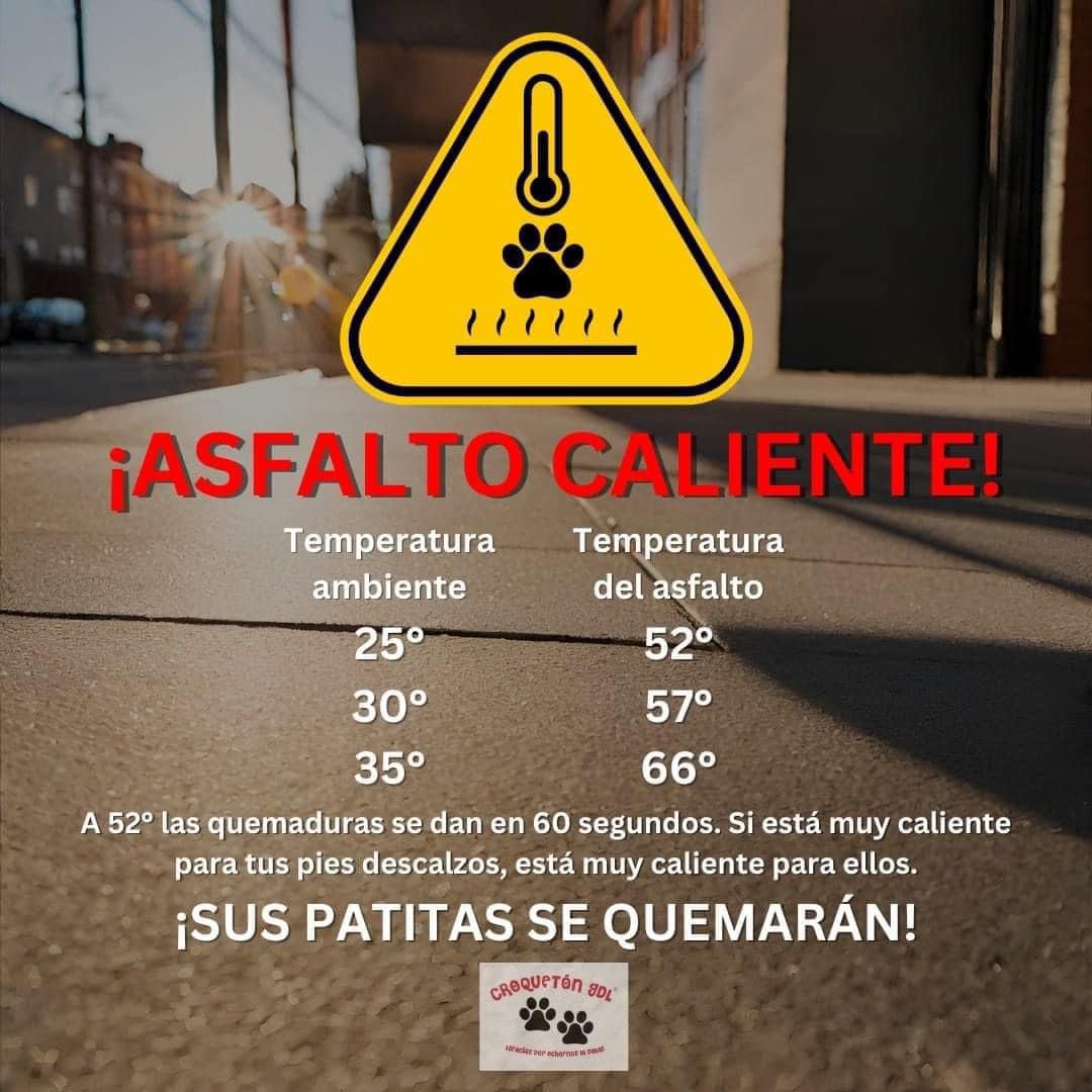 Recuerda que con las altas temperaturas que estamos sintiendo, es muy importante estar atento a tu mascota para evitar que sufra un golpe de calor. ❤️🐶🐱