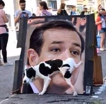 A serious FUCK YOU if you voted for TED CRUZ!! Texas deserves better than that fuckface.

The uselsss a$$hat has done nothing for Texas in a fucking decade. He runs away to Cancun when we are in trouble. 

Even animals are smarter when it comes to picking their Leader.

#Texas