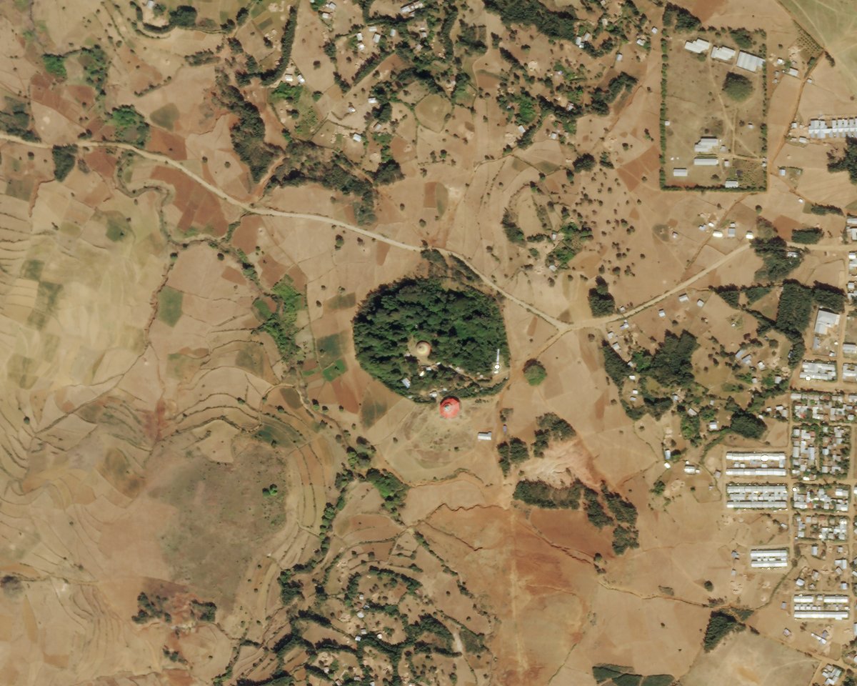 planet's tweet photo. A new trick for slowing deforestation might just be the oldest one in the book: reverence. Some 35,000 churches of the Ethiopian Orthodox Tewahedo Church steward country’s last remaining old-growth forests, which appear as circular oases scattered throughout the northern region. https://t.co/mePHztZte5