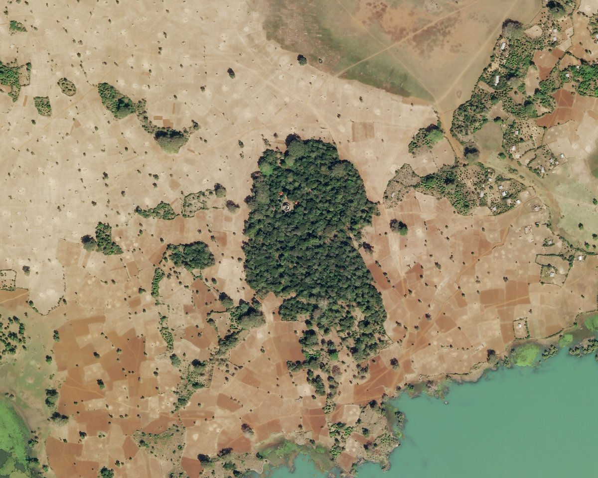 A new trick for slowing deforestation might just be the oldest one in the book: reverence. Some 35,000 churches of the Ethiopian Orthodox Tewahedo Church steward country’s last remaining old-growth forests, which appear as circular oases scattered throughout the northern region.