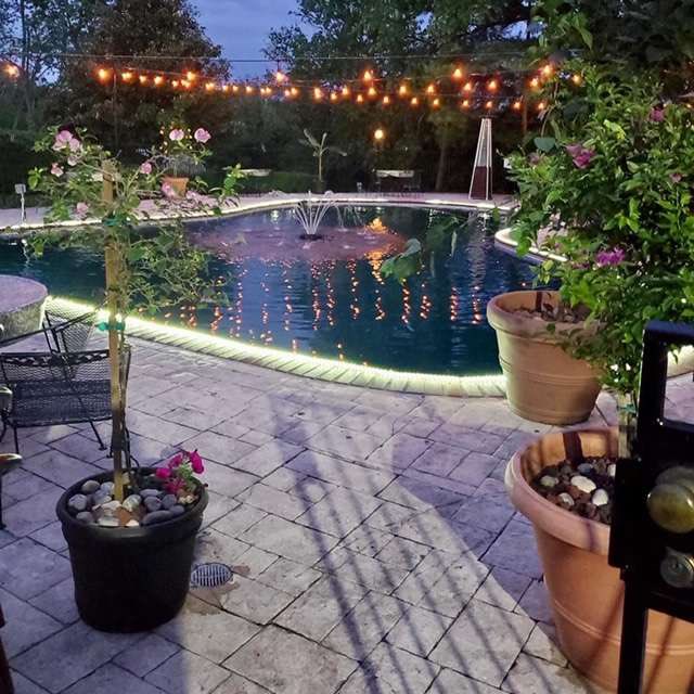 Grant Peters tweet media