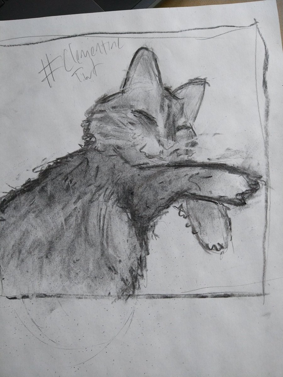 Opal 🏳️‍⚧️ (Epic Gamer) 🐀 tweet media