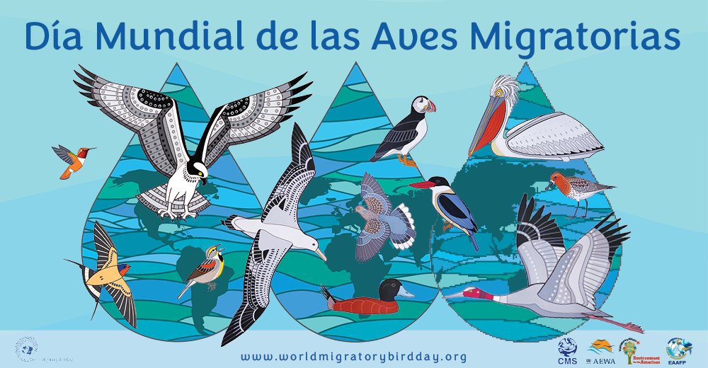 9 de mayo 'Día Mundial de las Aves Migratorias', con el fin de proteger a las aves migratorias y sus hábitats, además trabaja por la conservación de la diversidad biológica del mundo y la adecuada utilización humana de los recursos naturales. @UNICACu