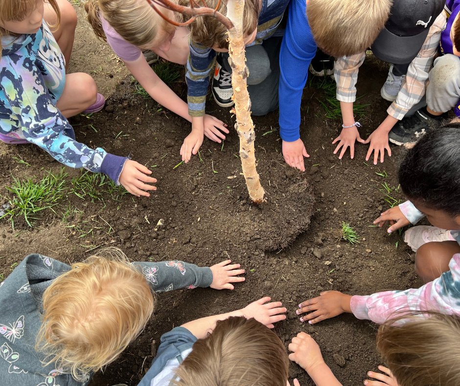 TreeTrust's tweet image. Diamond Path Elementary School is🌳 Learning with Trees™! 
Thanks 😍 to our friends at Dakota Electric Association for your support! 
#learningwithtrees #tree #environmentaleducation