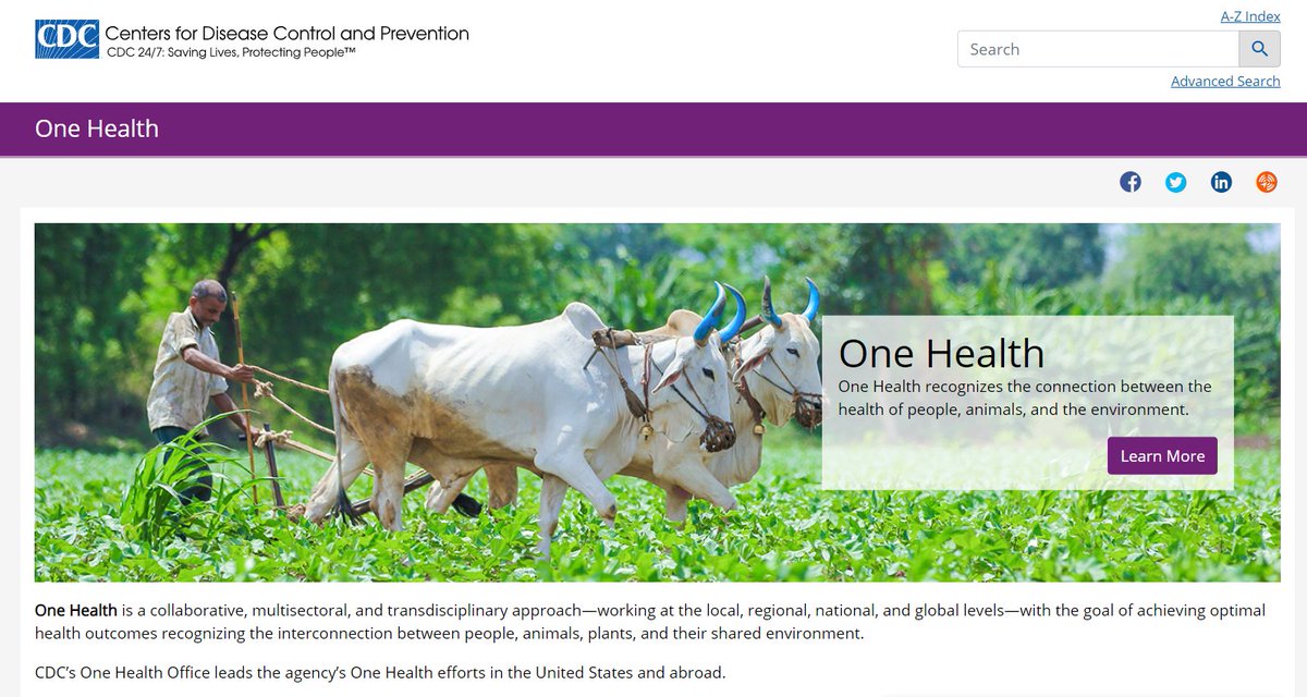 Did you know that @CDCgov has a One Health Office?: cdc.gov/onehealth On their website, you can get updates on activities, access their resource library, join their email list, and get info on upcoming Zoonoses & One Health Update (ZOHU) webinars. #OneHealth